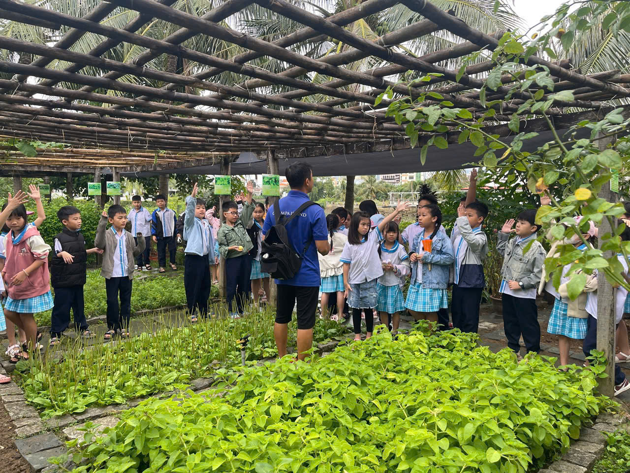 THAM QUAN, TRẢI NGHIỆM TẠI LÀNG CỔ CHAM-PA ISLAND